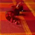 Table linen set 100% cotton coated jacquard pattern red orange Mille wax ketchup