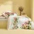 Bed set cotton percale prewashed printed yellow pink Citrons de menton romance