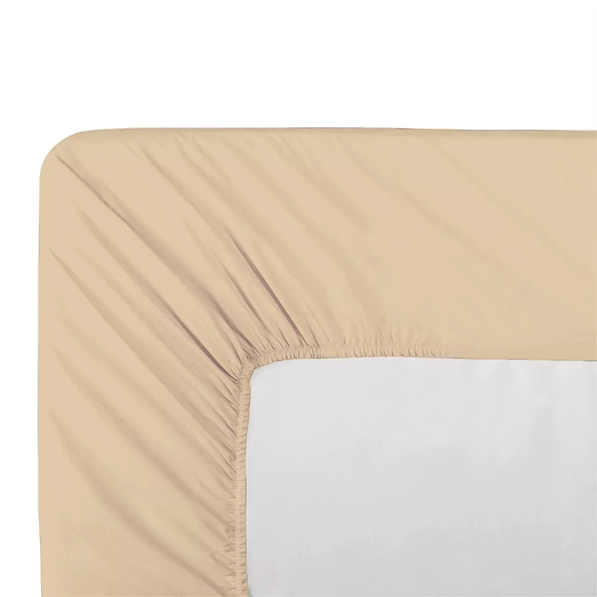 Drap housse b35 cotton percale plain beige Giulia stone