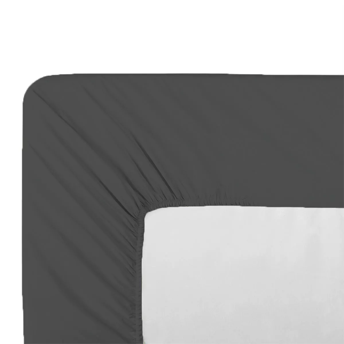 Drap housse b35 cotton percale plain anthracite Giulia titane