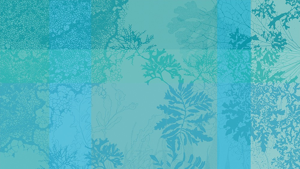 Nappe jacuard Ouessant- bleu turquoise - Garnier-Thiebaut